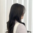 샐리미용실 이미지