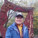 힐링(만인산) 이미지