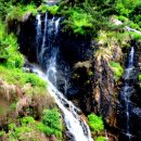 안산공원 이미지