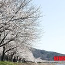 화산천 이미지