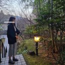 무궁화타운 | 12월 일상 *롯데호텔 무궁화 디너(생일서비스),이태원...코트 후기, 연남아민,마포곱창타운,서울 신라...