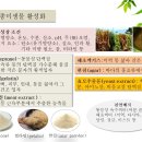 Native microorganism activation method 토종미생물 활성화 방법 이미지