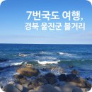 계몽치킨 이미지