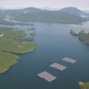 청풍 태양광발전소 이미지