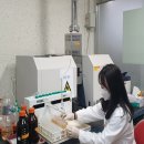 영동군, 토양검정으로 시작하는 과학영농… 건강한 토양이 고품질 농산물의 첫걸음 이미지