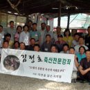 금치축산 Daum카페
