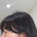 ㈜청정환경 | 현대약품 마이녹셀 프레스티지 스칼프 탈모샴푸 960ml 추천 솔직 후기 뿌리볼륨 유지력 확실히 다름