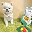 러블리펫샵 이미지