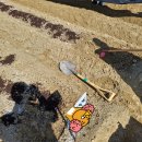 필자농장 이미지