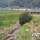 삼봉천 이미지