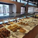 마고플레인 이미지