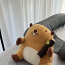 나경빌딩 | 둔산동 왁싱 드블랑왁싱 대전둔산점] 대전왁싱 잘하는 곳 / 친절하고 꼼꼼한 대전 브라질리언왁싱 / 나경쌤