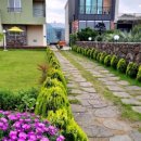 레드향 민박 이미지