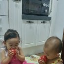참실농장 Daum카페