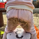 평촌공원 | 아이 체력빼기 좋은 곳 평촌중앙공원 주말 육아 후기