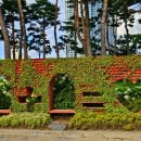 청라호수공원(제2주차장) 이미지