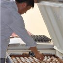 윤 농장 이미지