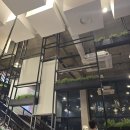 마조 - 송파구 백제고분로46길 31-1 | [맛집기행] 매탄동 마조치킨/또또지짐이 후기