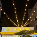 오늘보니 | 포항 영일대 물회 맛집 영일대 야장 오늘도가자미 내돈내산 후기