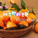 일남농장 이미지
