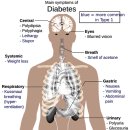 당뇨병의 증상과 식사요법 이미지