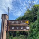 대전대신초교 | [대전] 보문산 등산코스 (대신초교 입구~시루봉) 뚜벅이 등린이 후기