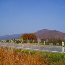 길안초등학교 이미지