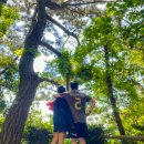 제주 올레길 16코스 | 난이도 낮은 제주 산책로 추천, 제주 올레길 6코스 반짝 둘러보기!