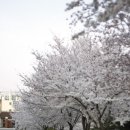 계명대학교 대명캠퍼스 이미지