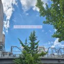 노블파크사우나 이미지