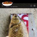 신원대로-7 이미지