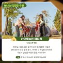 욱채네착한정육점 이미지