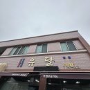 유달식당 | [서귀포 맛집] 짬뽕이 맛있다는 유달식당 솔찍후기 탕수육이 없었다. ㅠ