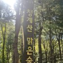 맑은숲 이미지