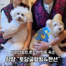 양양토담글램핑&펜션 이미지