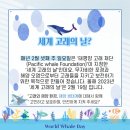 (주)신비포유 이미지