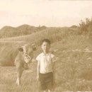동심 이미지