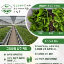 그린엔팜