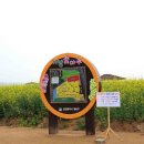 서운체육공원 이미지