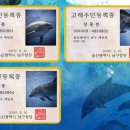 장생포고래박물관 이미지