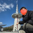 한빛빌딩 | [대전 여행] 성심당의 도시 대전 진로집 두부두루치기/카페/소품샵/성심당/한빛탑