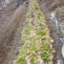 구억농장 이미지