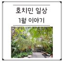 신한사랑약국 | 호치민일상ㅣ1월이야기 세번째