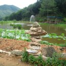 주성농장 이미지