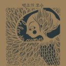 보림콜렉션 이미지