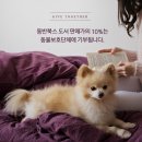 공감책방 이미지