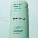 샴푸헤어 이미지