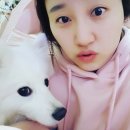 (주)까로맘 | 스피츠 꽁 : ) 꽁이 생애 첫눈 밟기 [스피츠/스피츠키우기/반려견/반려견일상]