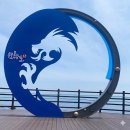 [삼척] 초곡용굴촛대바위길 산책 코스 추천