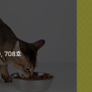 라이코 바이탈 코리아 이미지